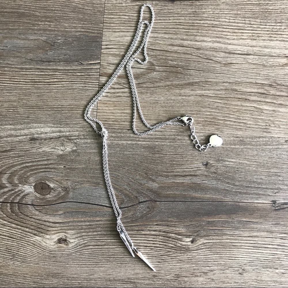 BCBG necklace